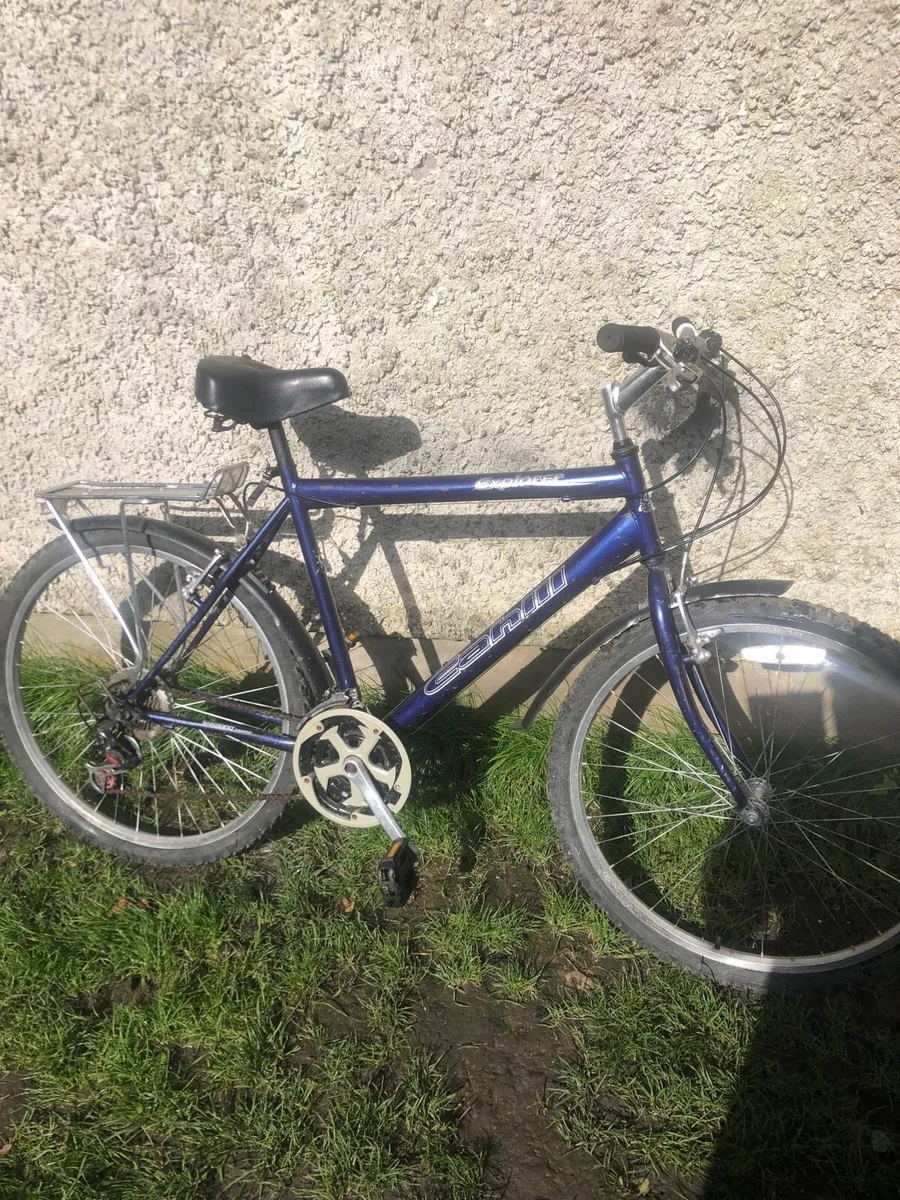 Mans bike - Image 1