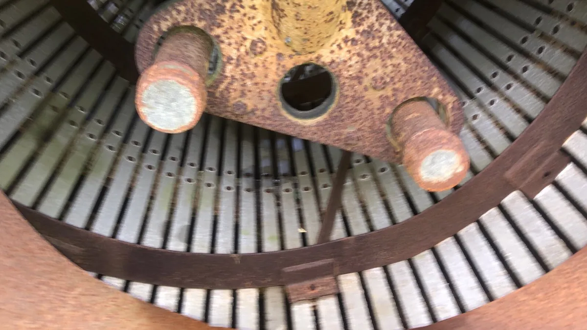 Beet washer - Image 2