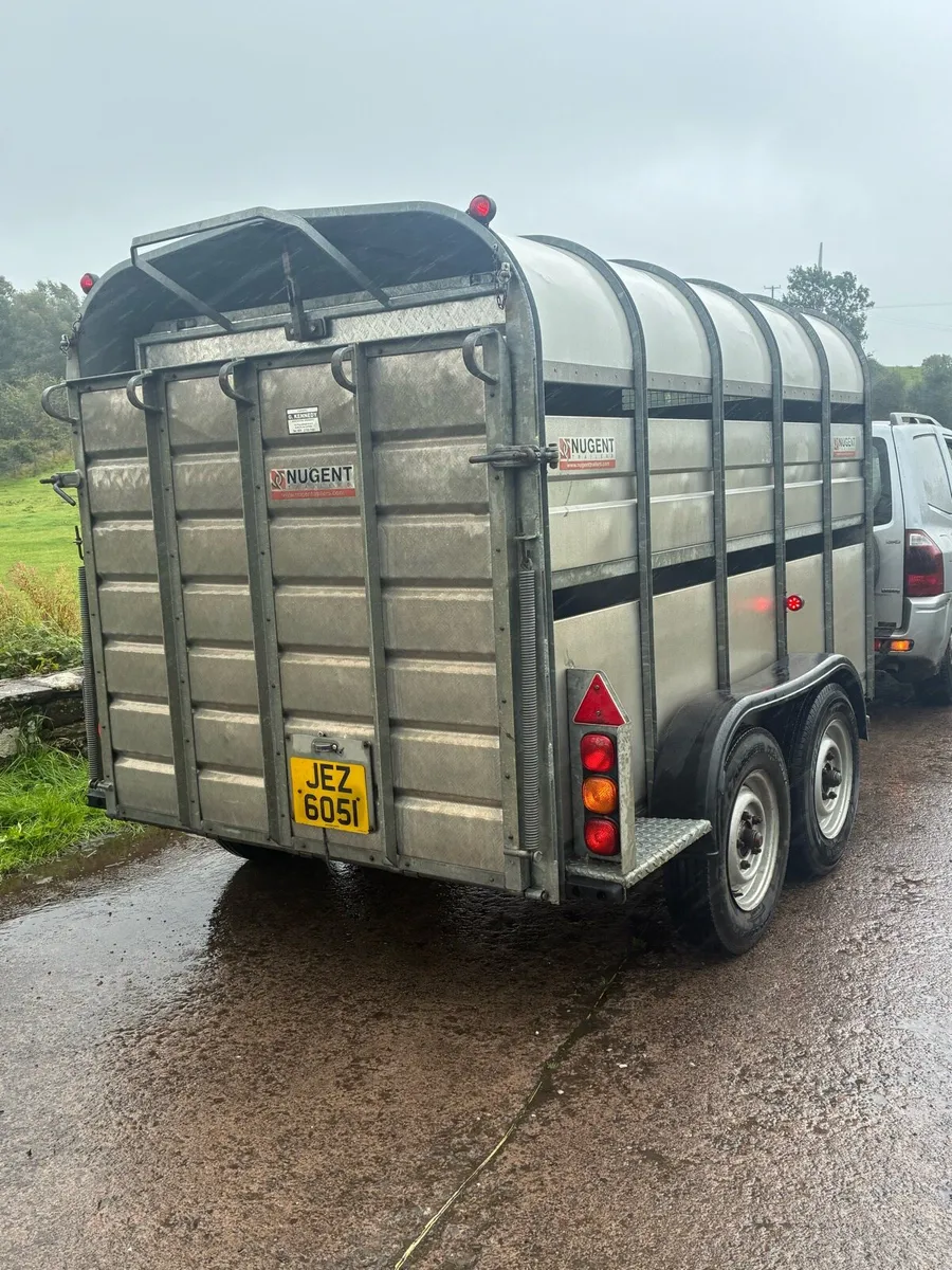 Nugent cattle / sheep trailer - Image 3