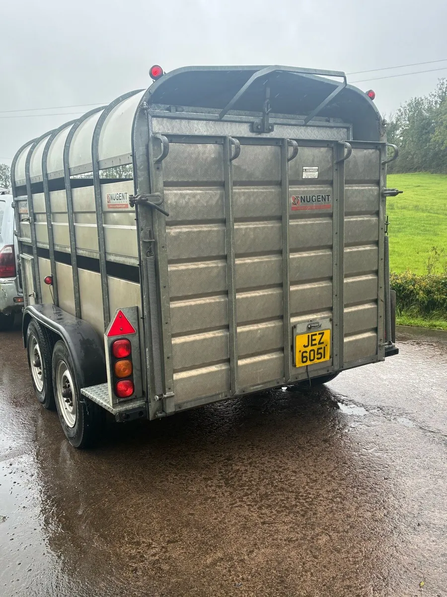 Nugent cattle / sheep trailer - Image 4