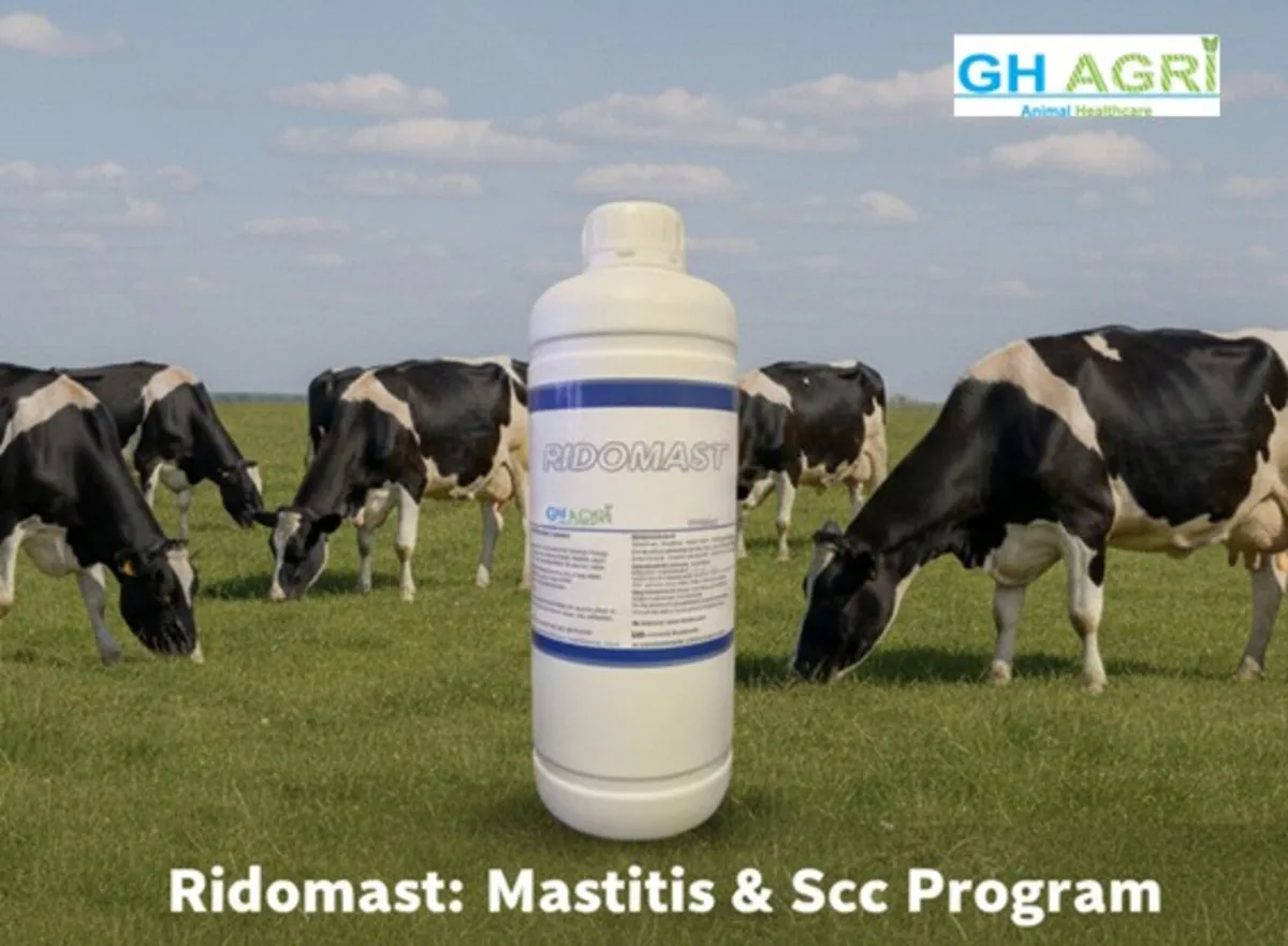 Mastitis & High Scc Program - Image 1