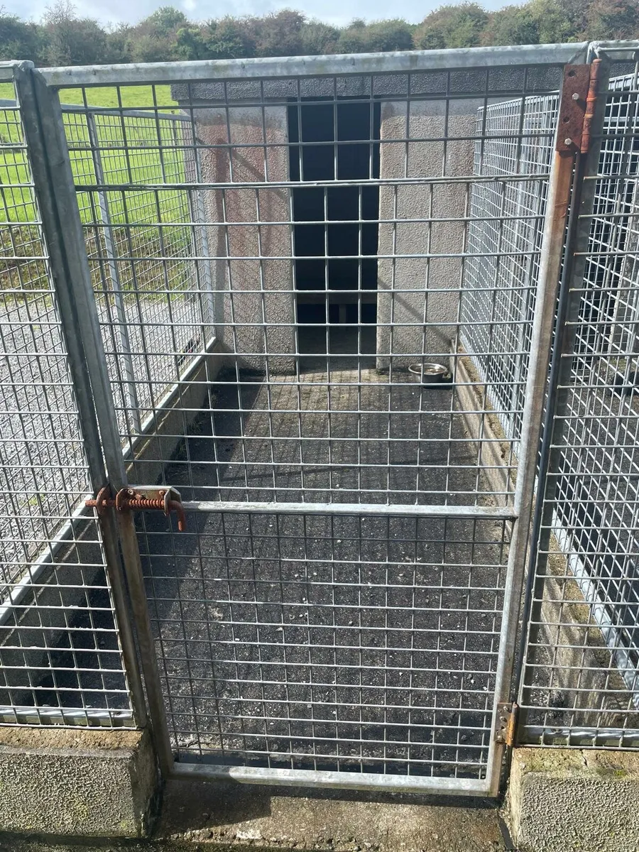 Steel for Dog runs for sale - Image 1