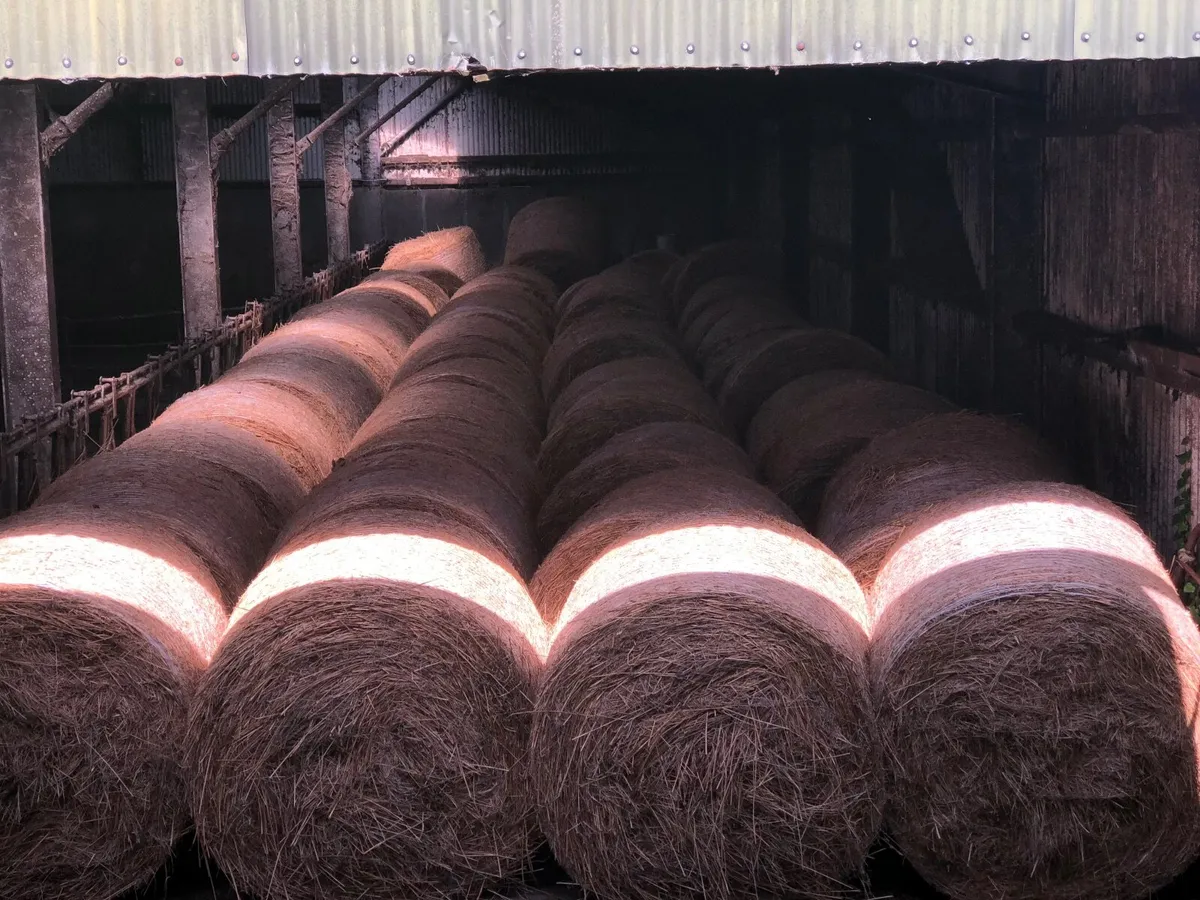 80 bales of bedding for sale - Image 4