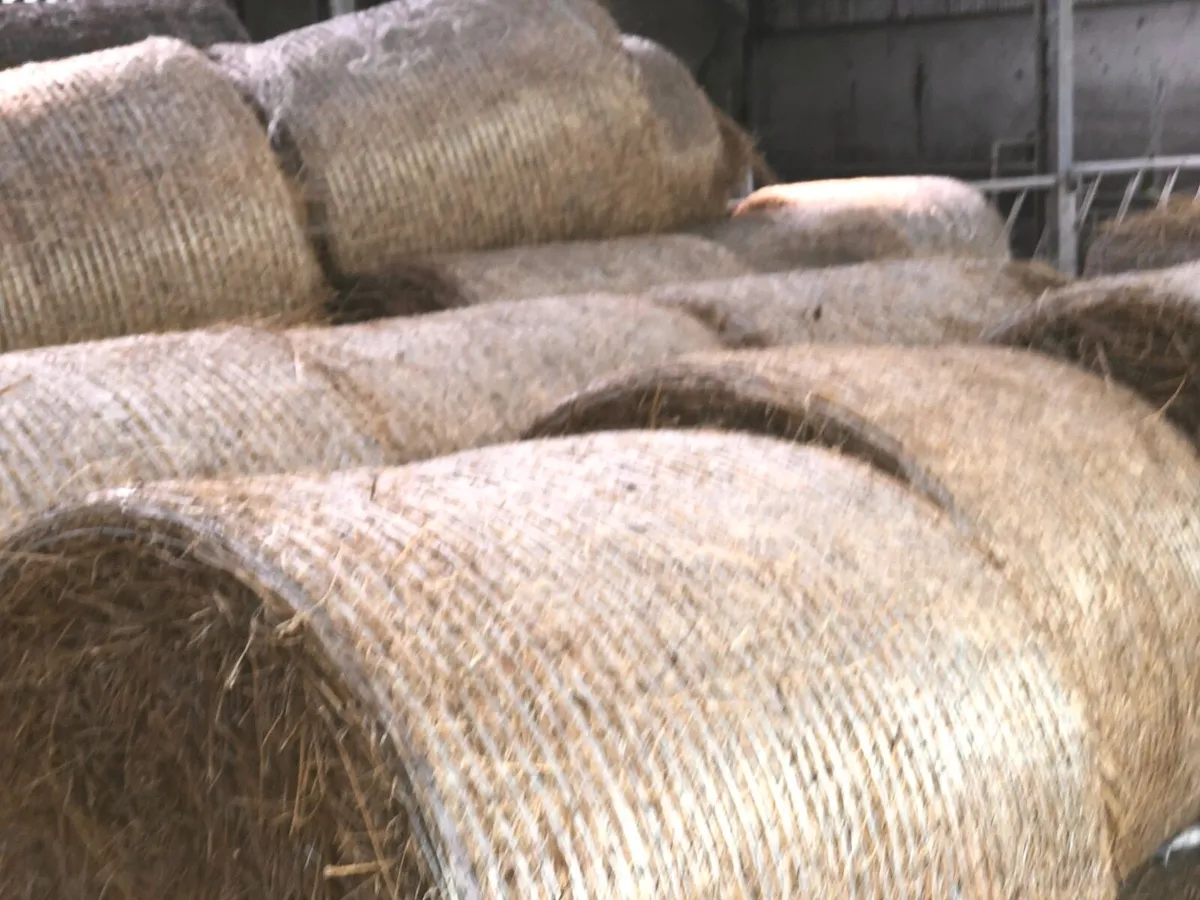 80 bales of bedding for sale - Image 2