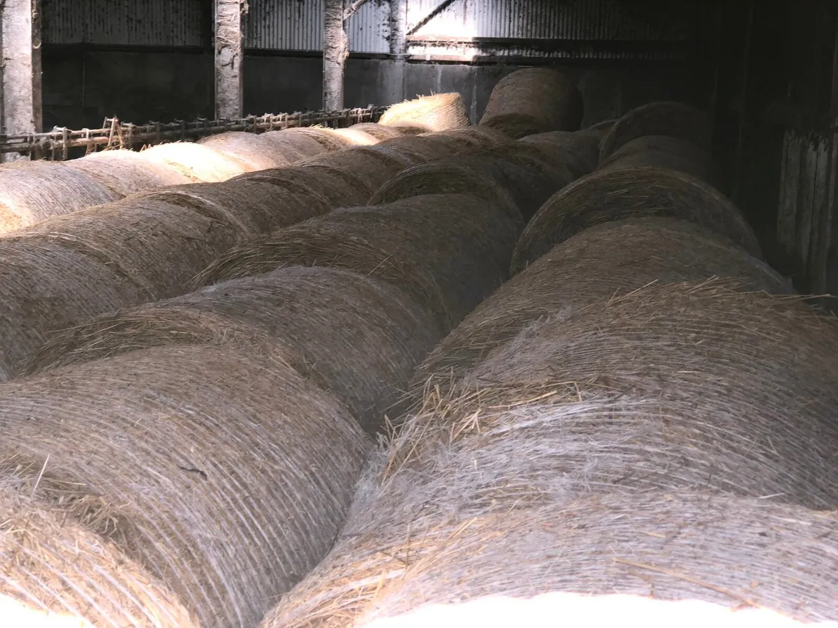 80 bales of bedding for sale - Image 3