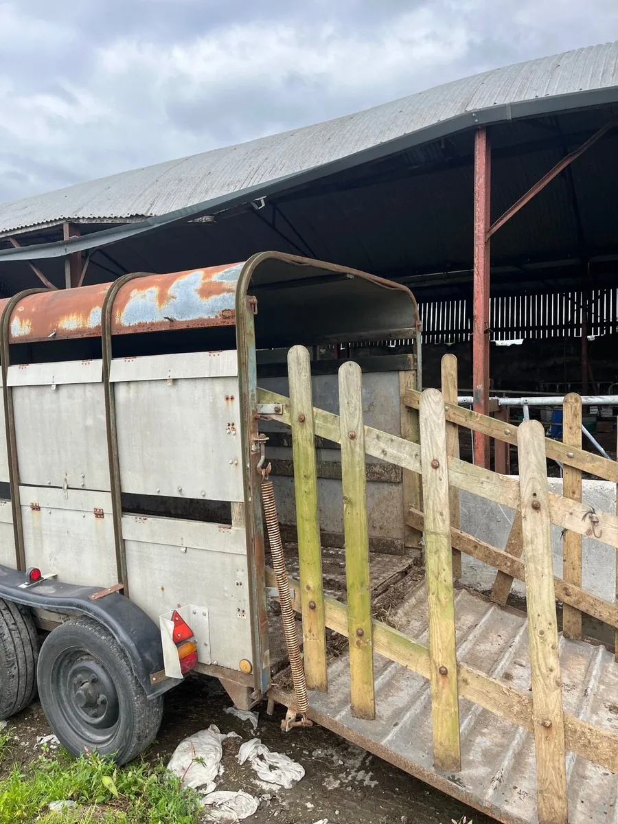 Cow box - Image 1