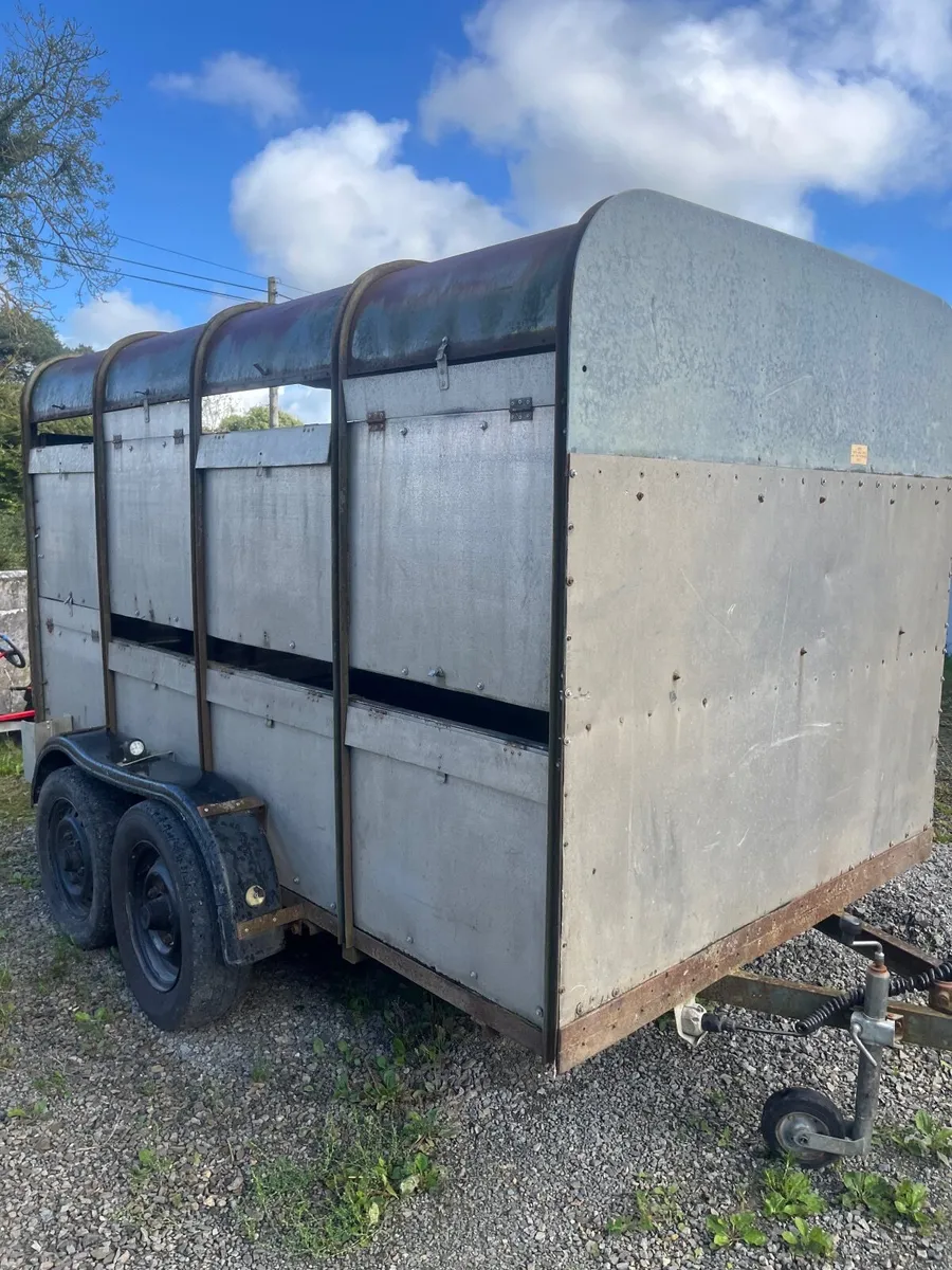Cow box - Image 2