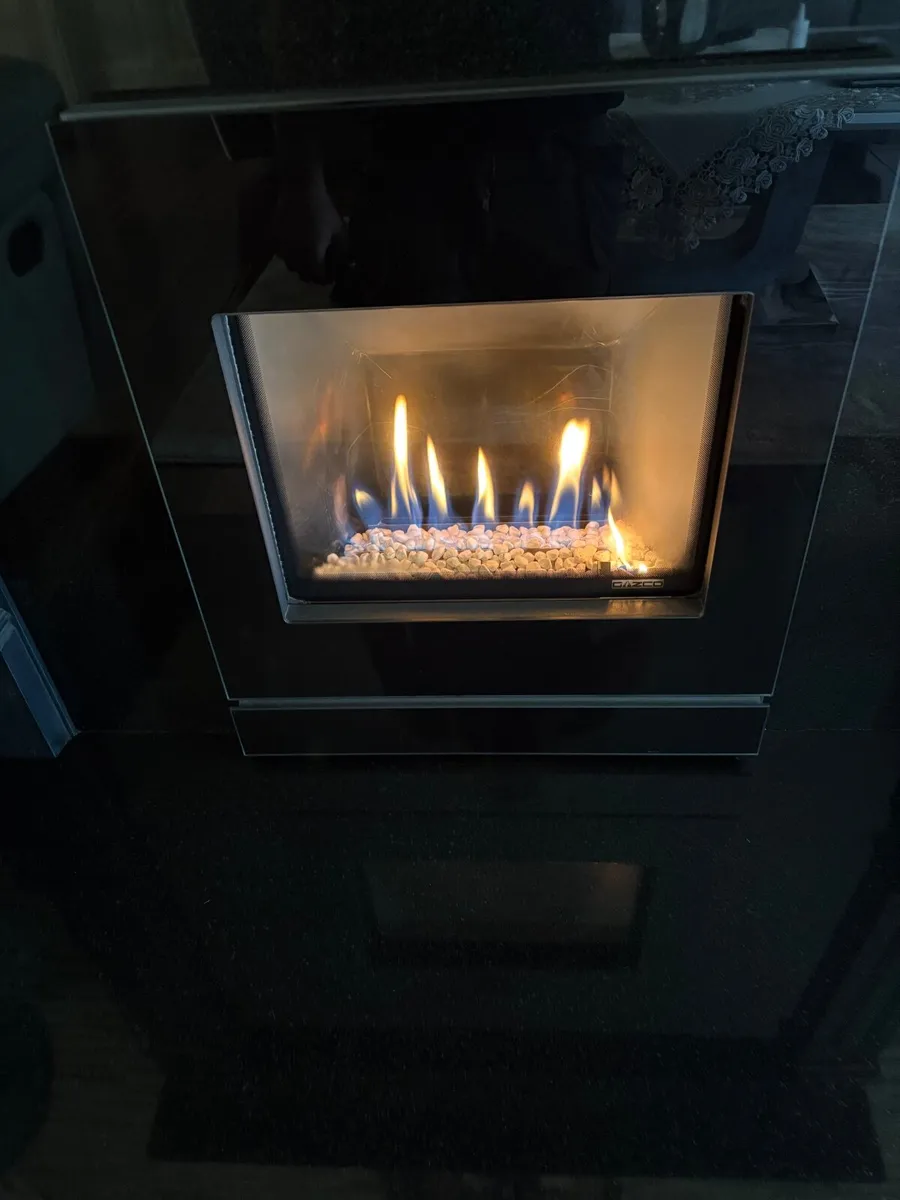 LPG Insert Gas Fire - Image 3