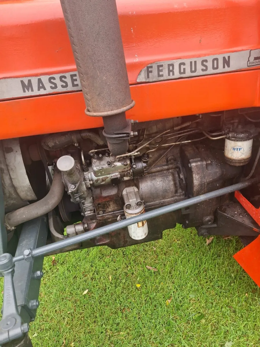Massey Ferguson  135. - Image 3