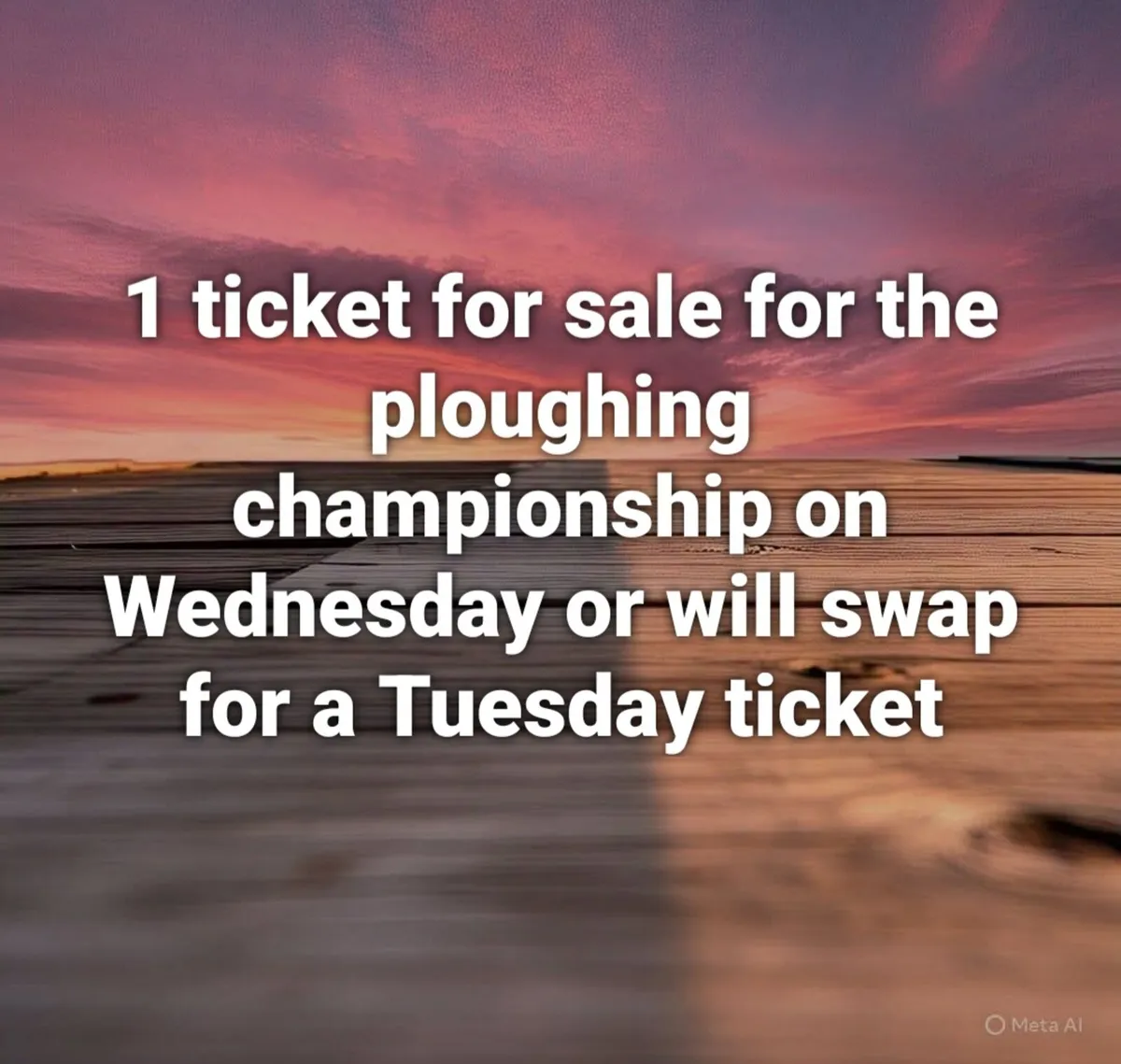 1 ticket for the ploughing championship