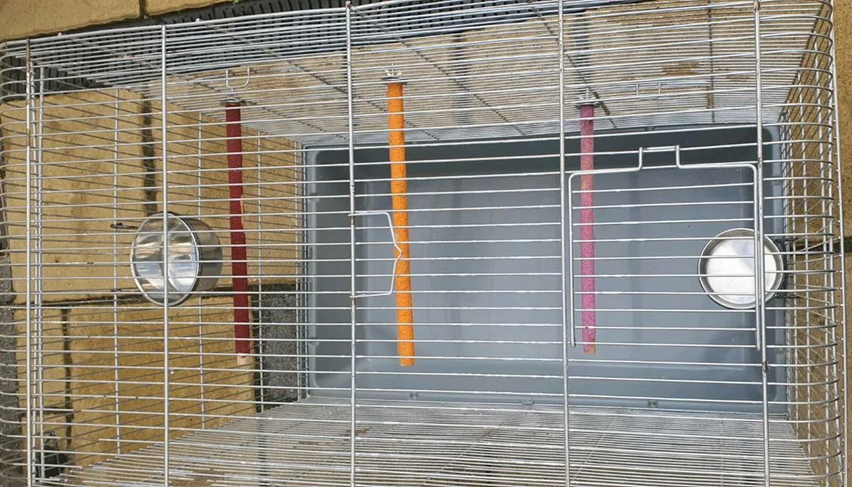 Large  Bird cage - Image 2