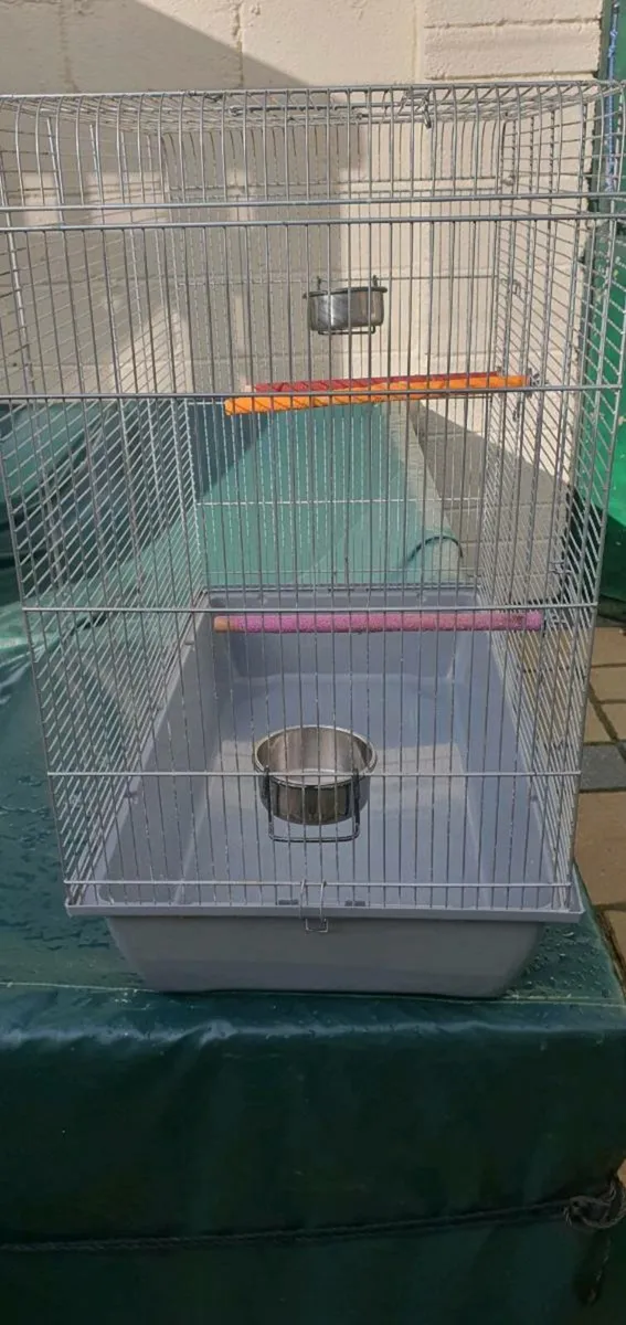 Large  Bird cage - Image 4