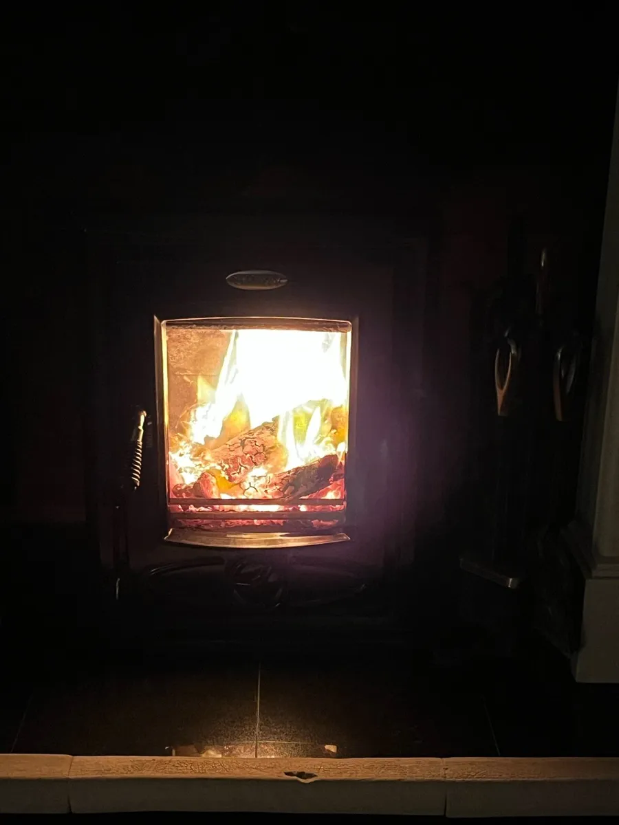 Stanley Cara Insert Stove (Non Boiler) - Image 1