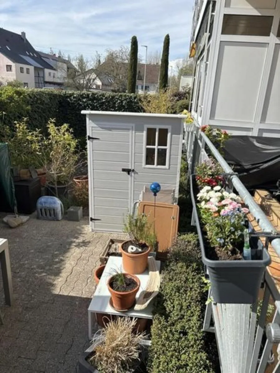Shed - Image 2