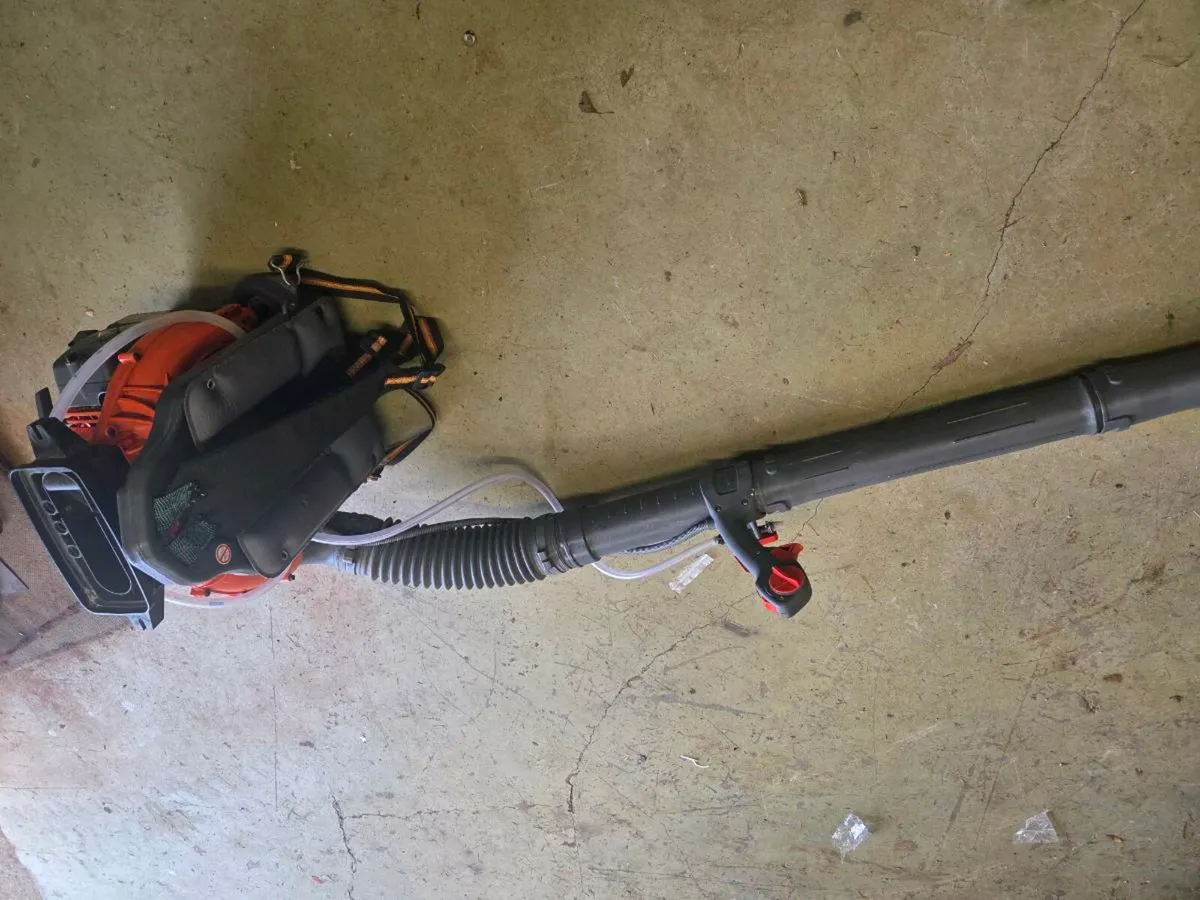 Leafblower  for sale - Image 2