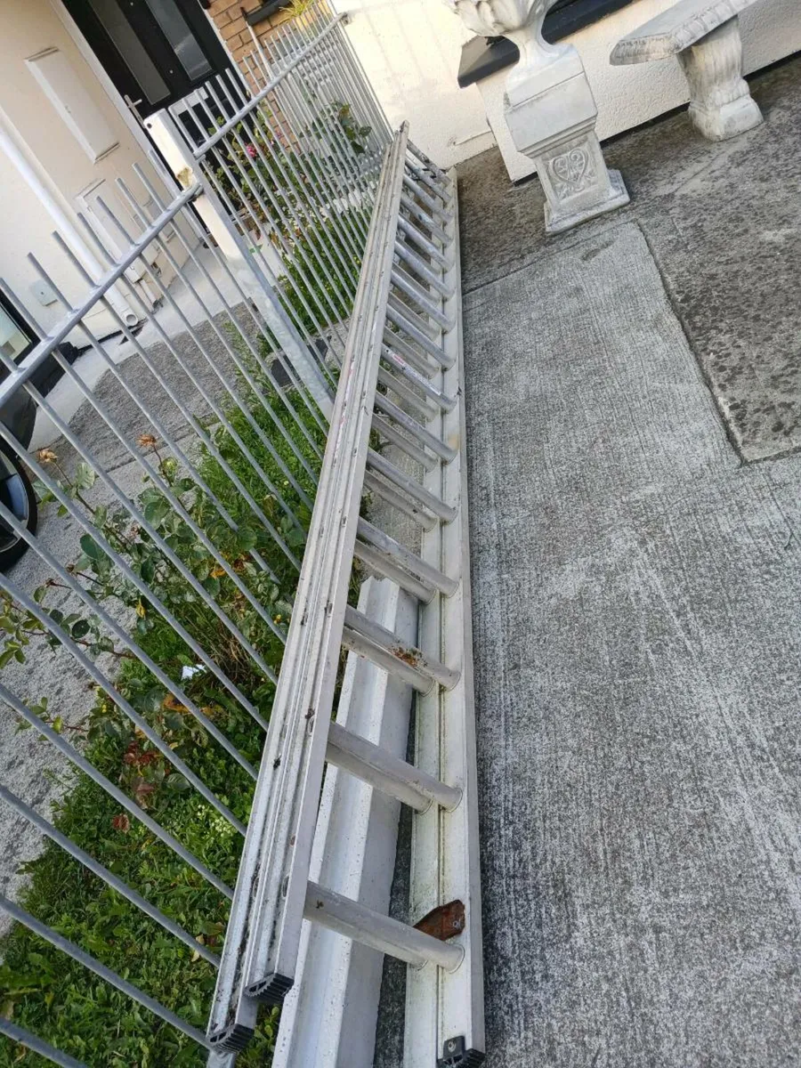 Double ladders x14 rungs - Image 1