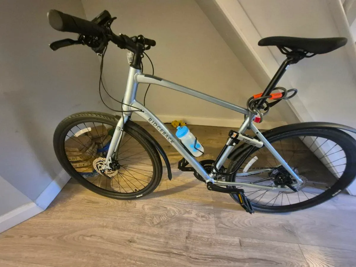 Ridgeback Vanteo - Image 3