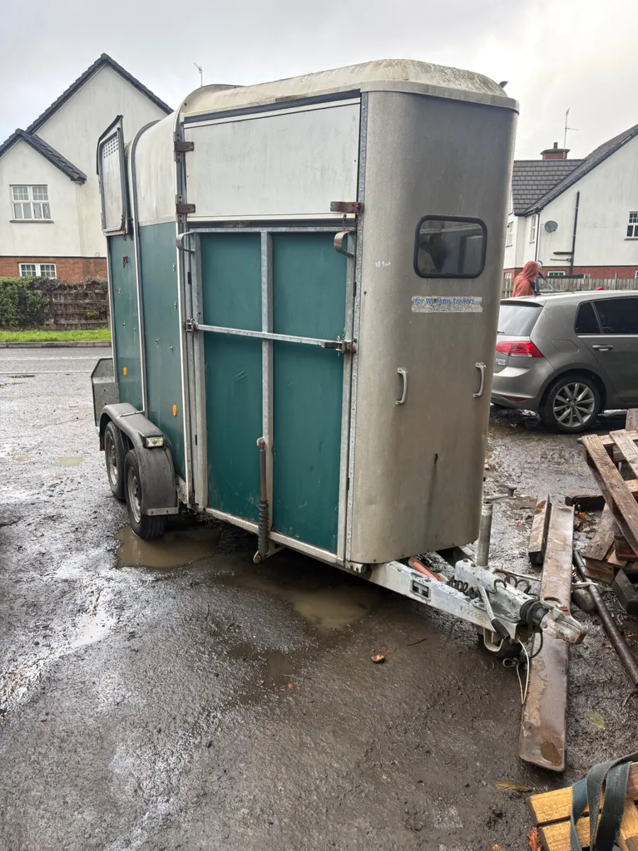 Ifor Williams 505 green horse box - Image 1