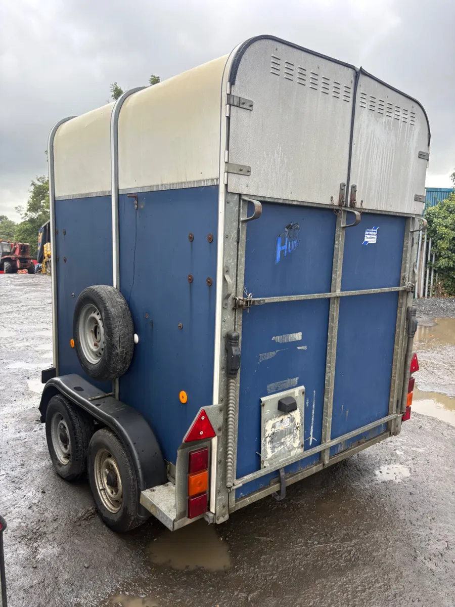 Ifor Williams 505 horse box blue - Image 2