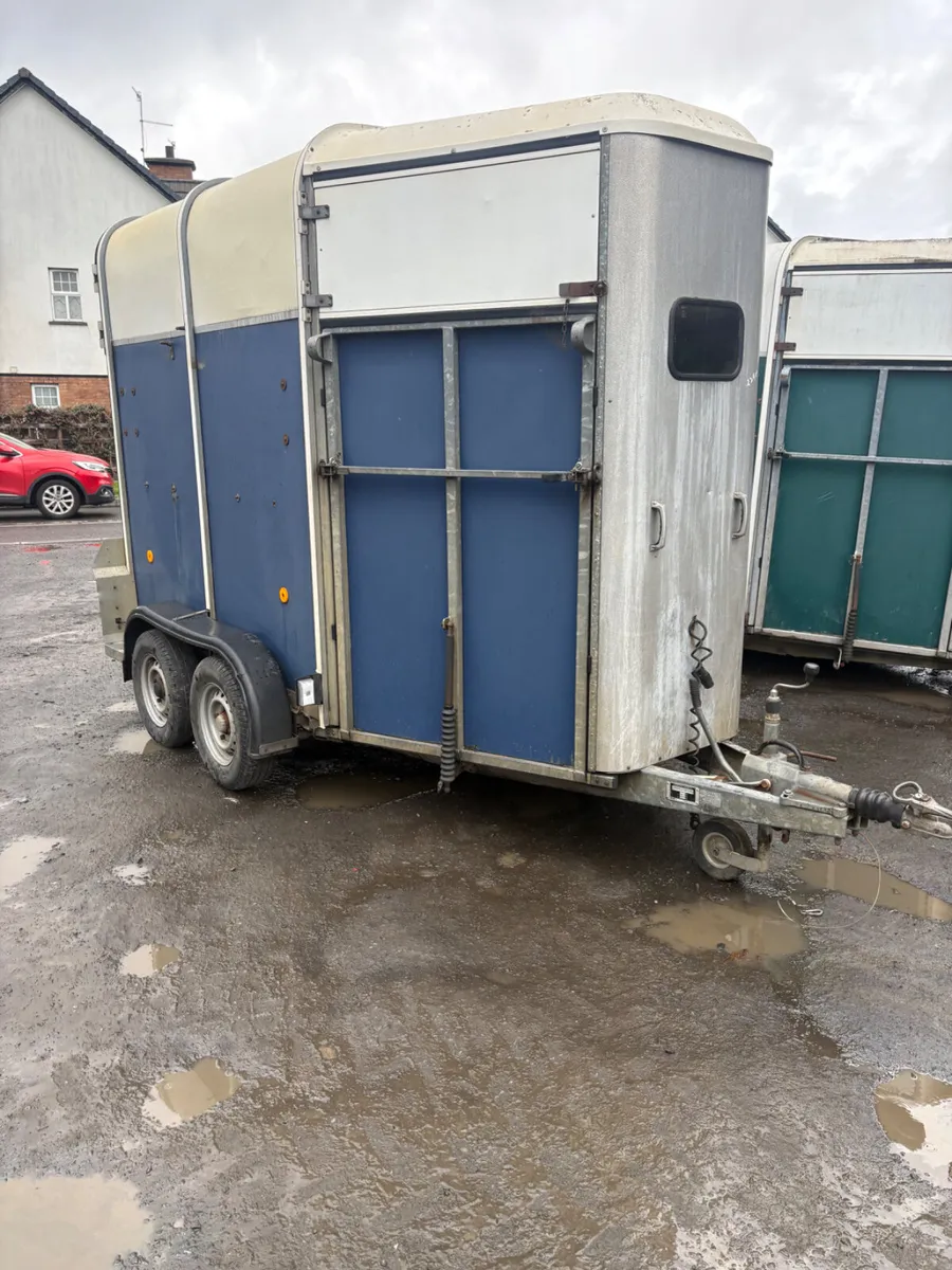 Ifor Williams 505 horse box blue - Image 1