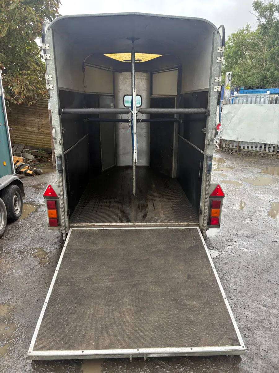 Ifor Williams 505 horse box blue - Image 3