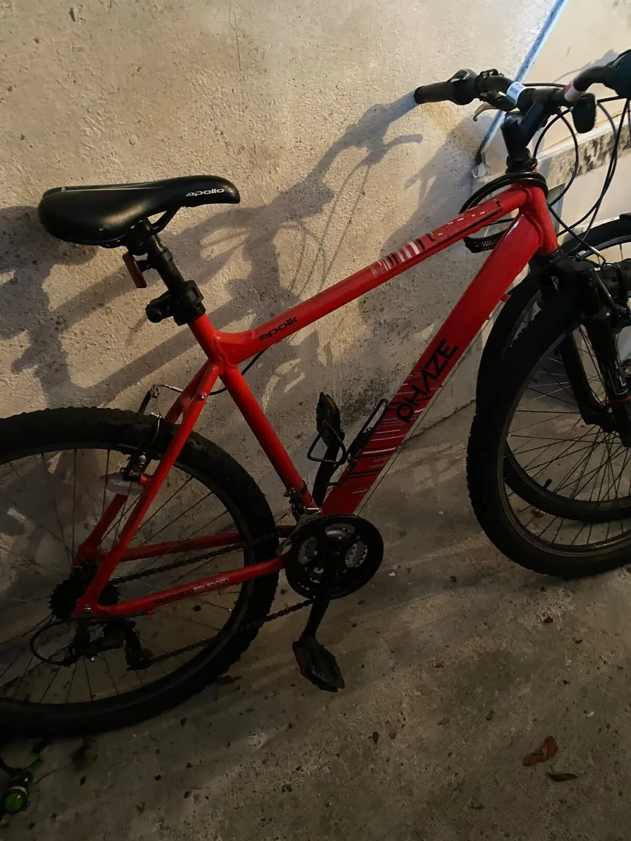 Adult Bike - Image 1