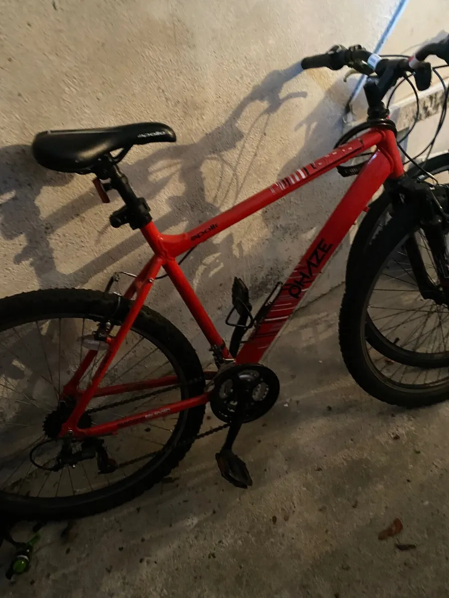 Adult Bike - Image 2