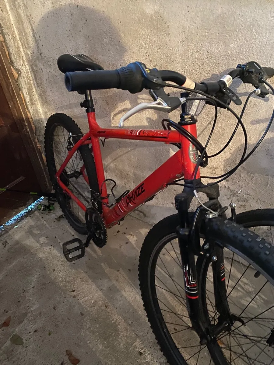 Adult Bike - Image 3
