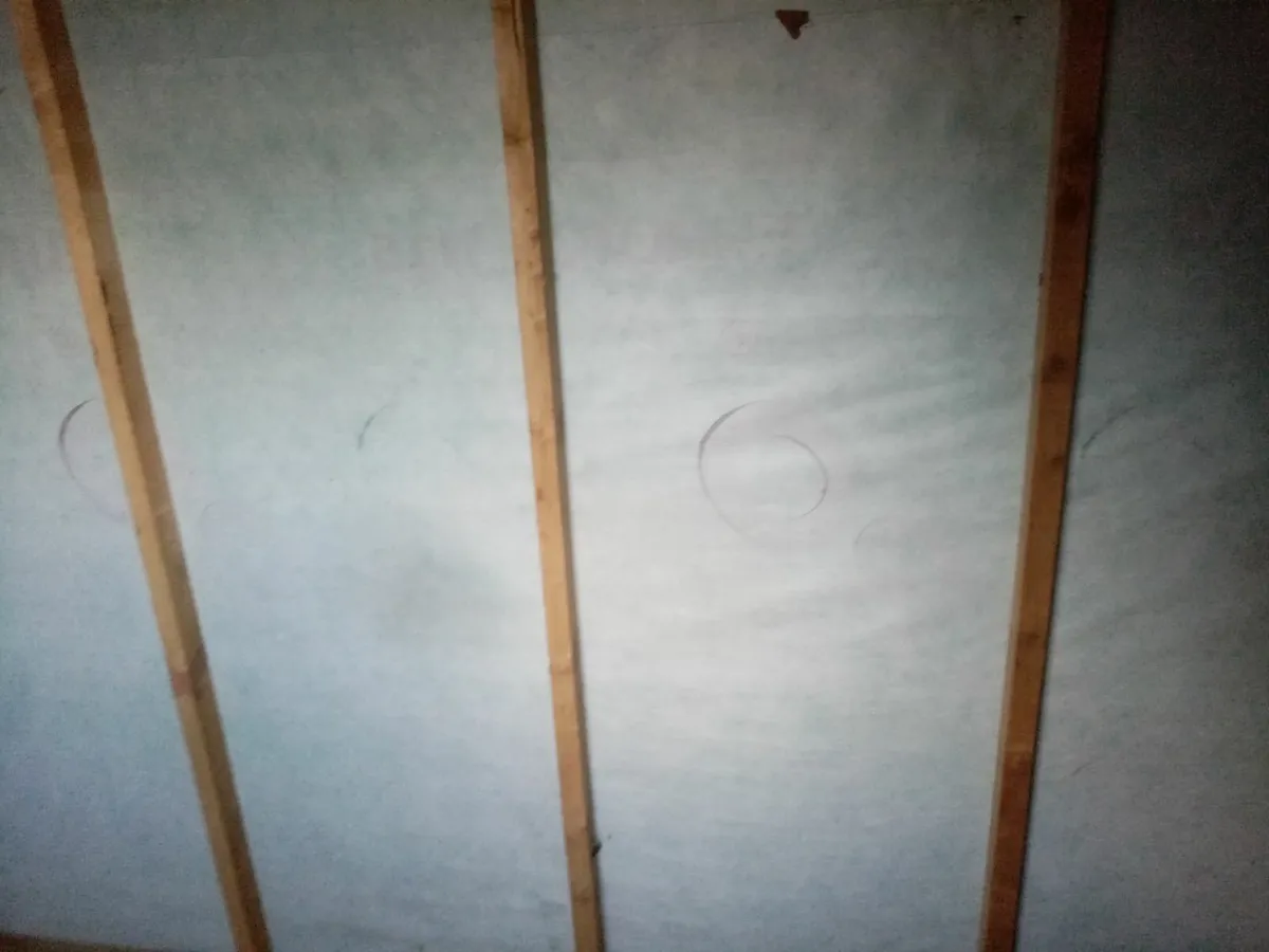 6 x 8 Garden Shed. - Image 3