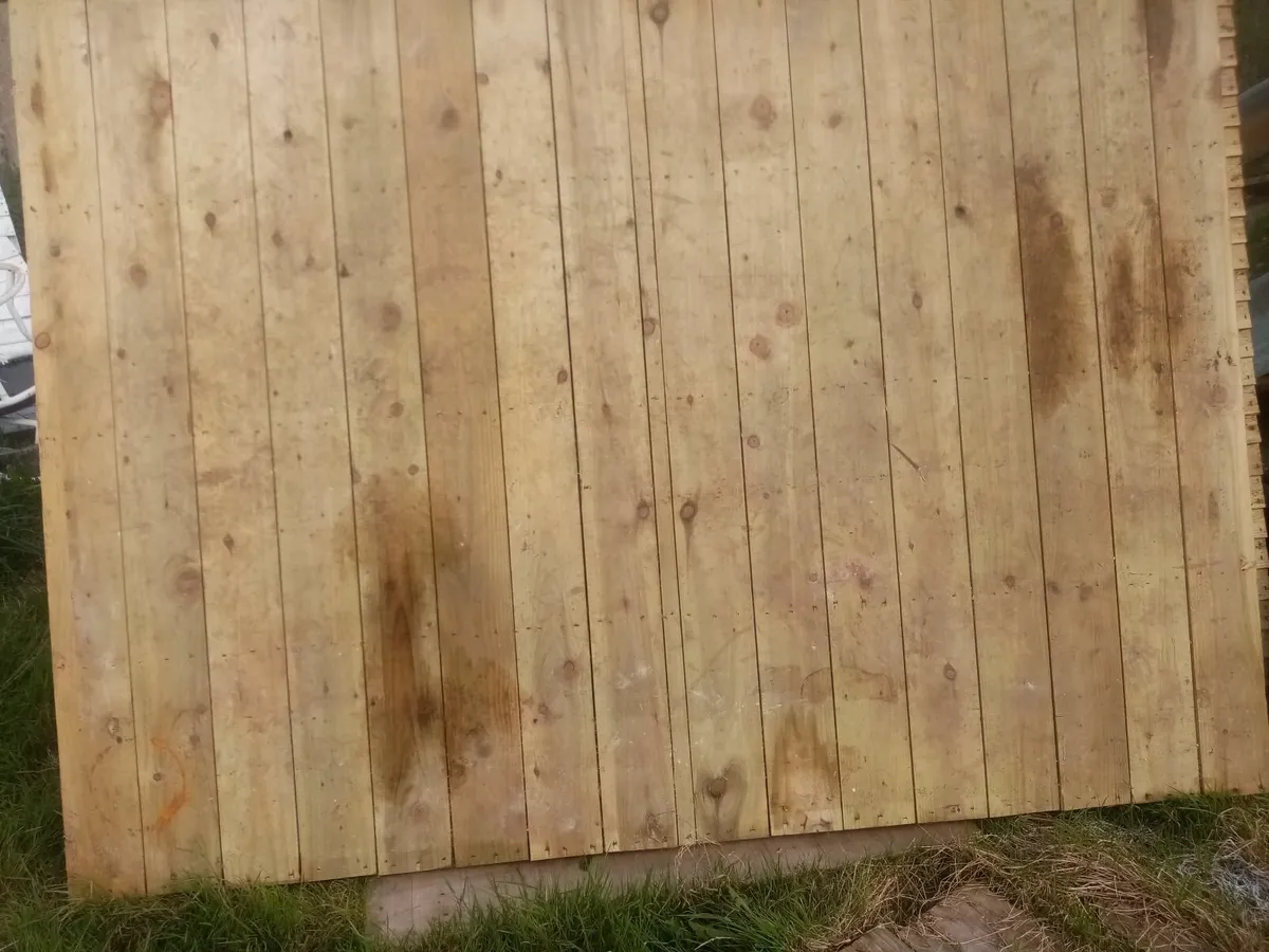 6 x 8 Garden Shed. - Image 4