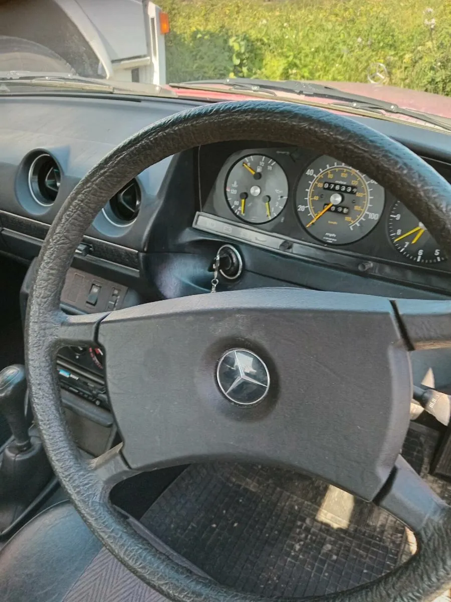 Mercedes Jaguar - Image 2