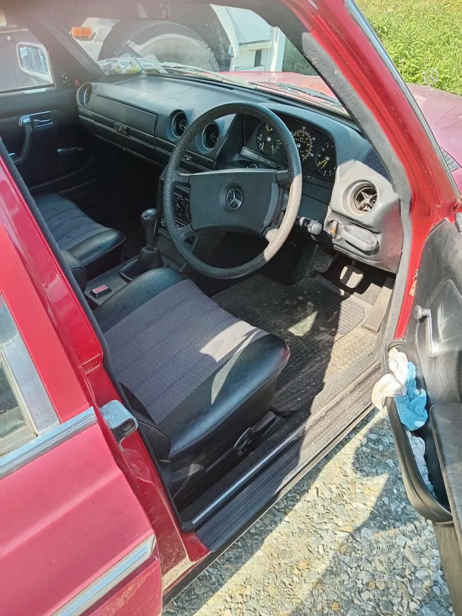 Mercedes Jaguar - Image 3