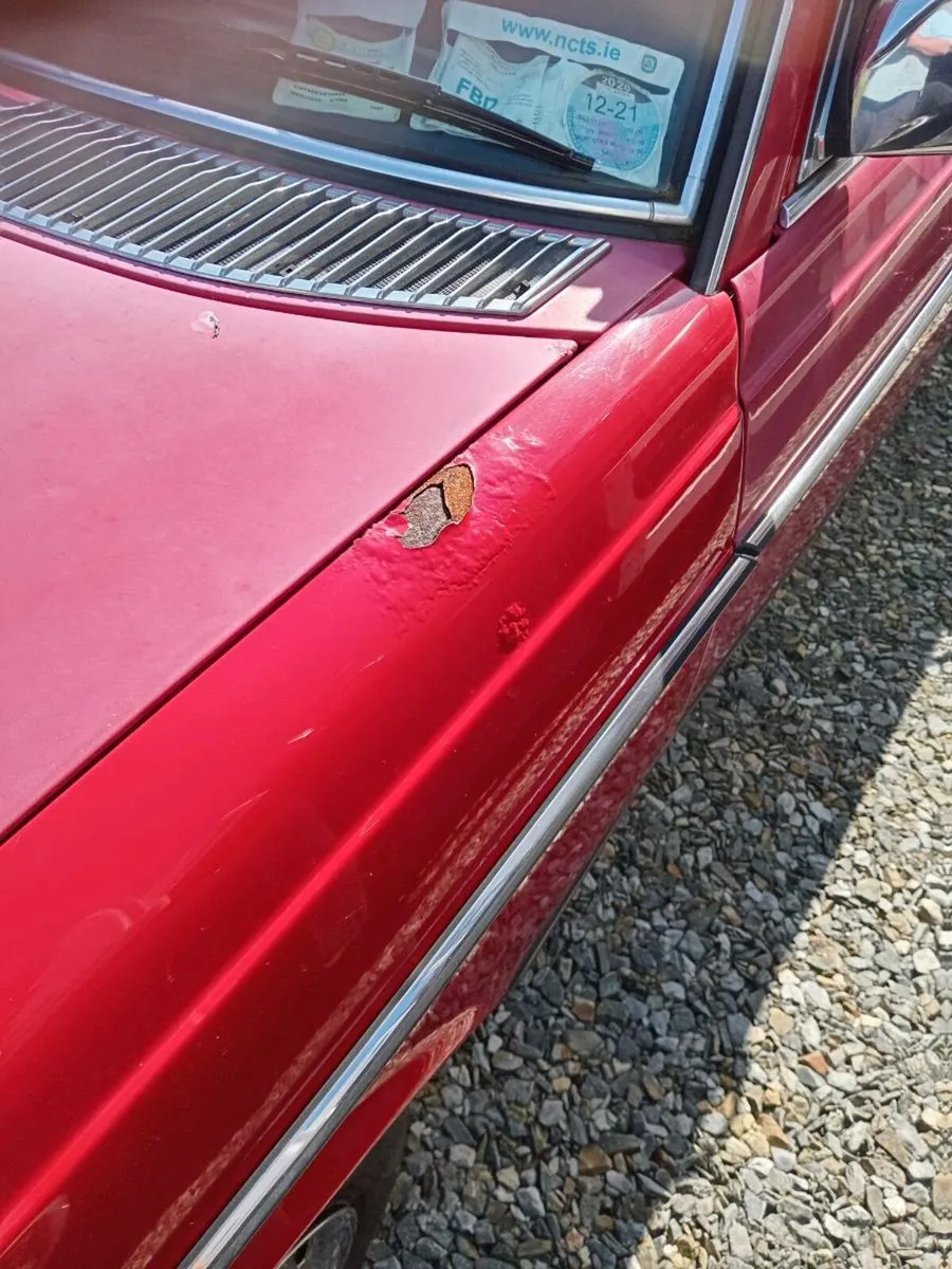 Mercedes Jaguar - Image 4