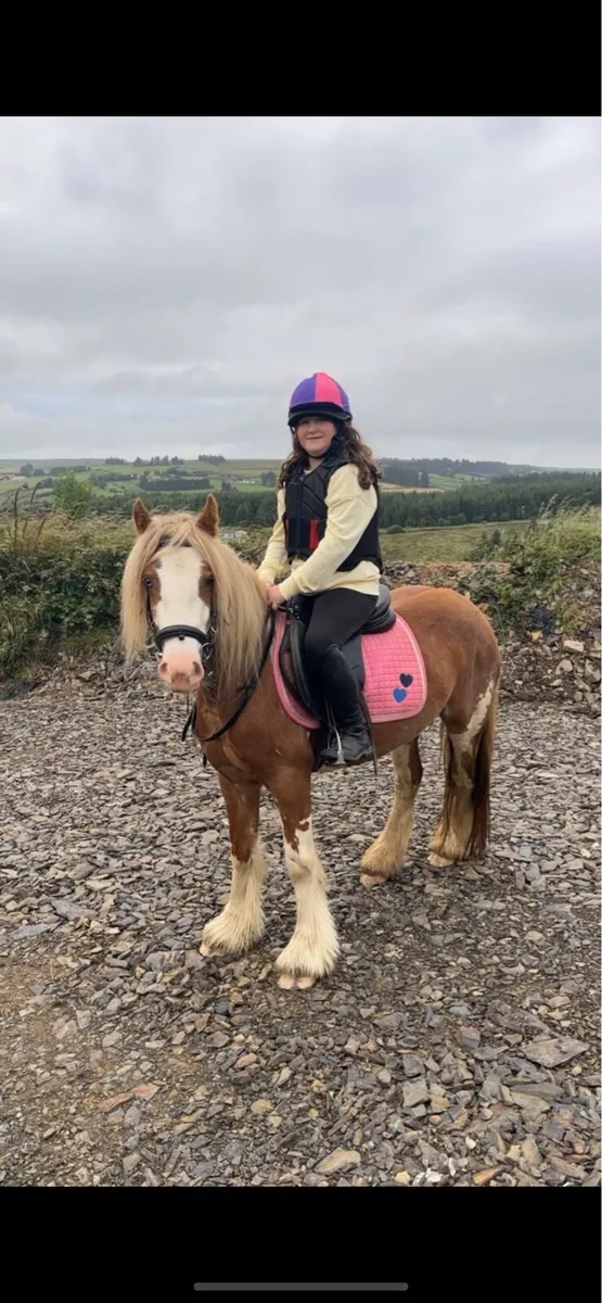 13.2 Riding Pony - Image 1