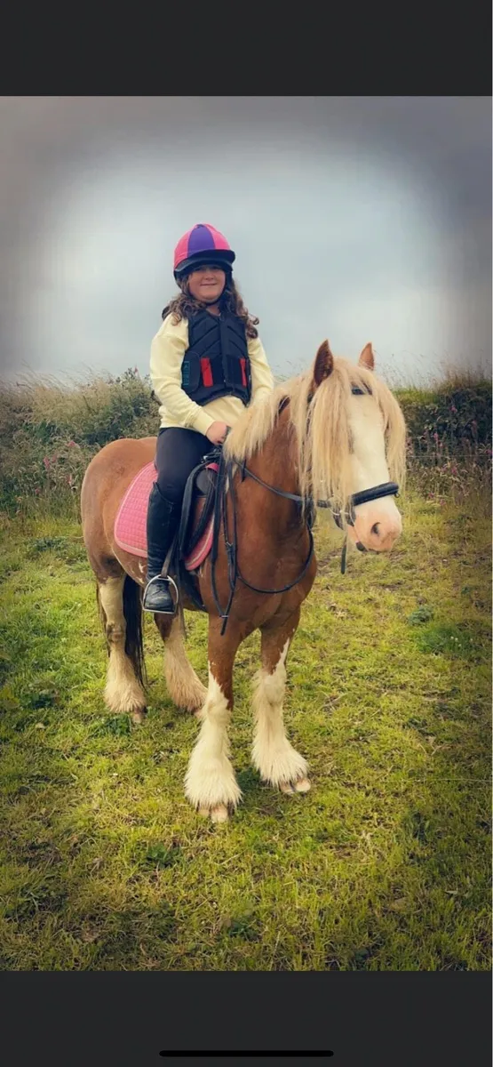 13.2 Riding Pony - Image 2