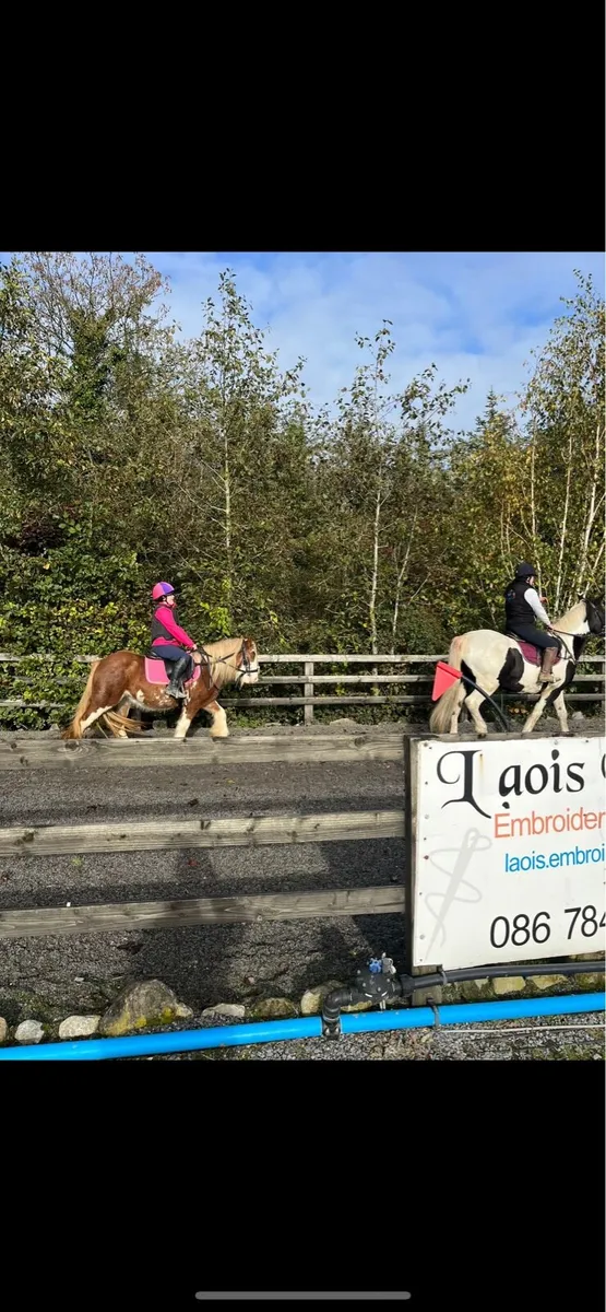 13.2 Riding Pony - Image 4