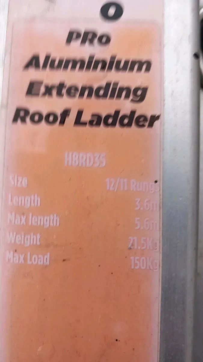 Roof ladder roofing - Image 4