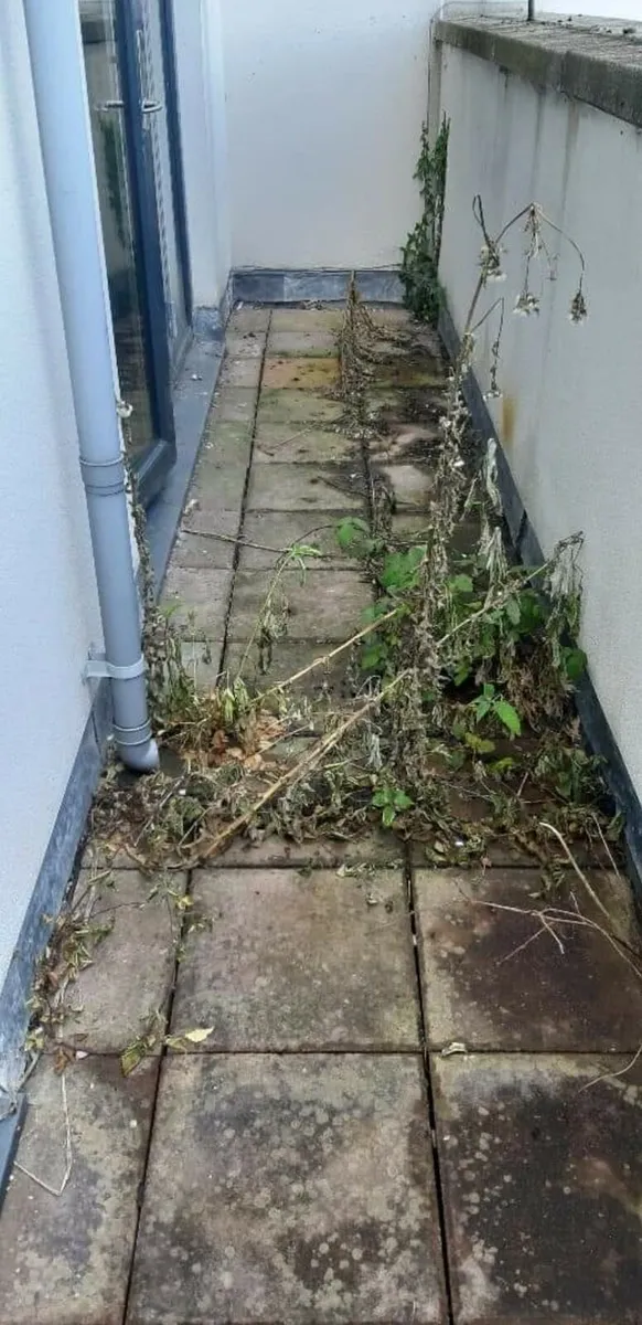 MIDLANDS POWERWASHING SERVICES - Image 2