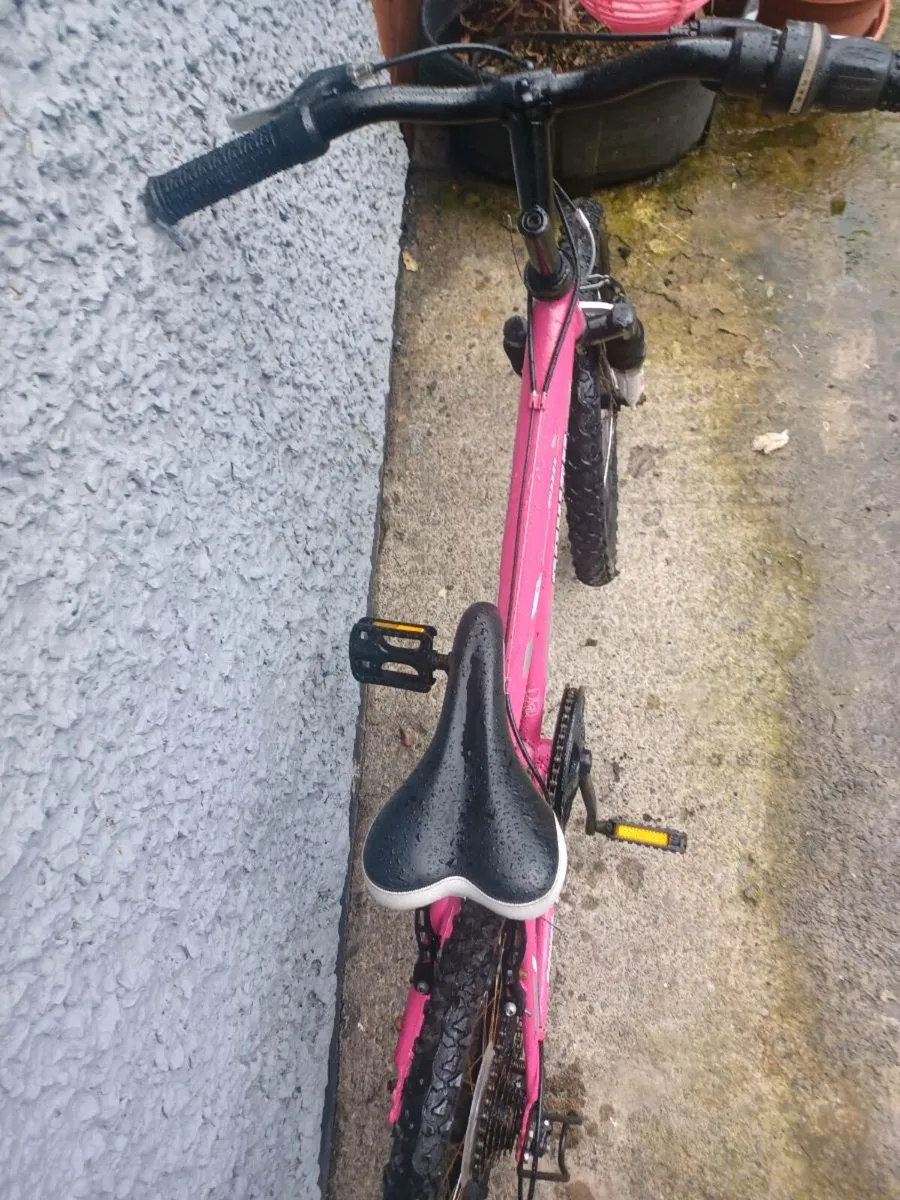 Power girls bike - Image 4