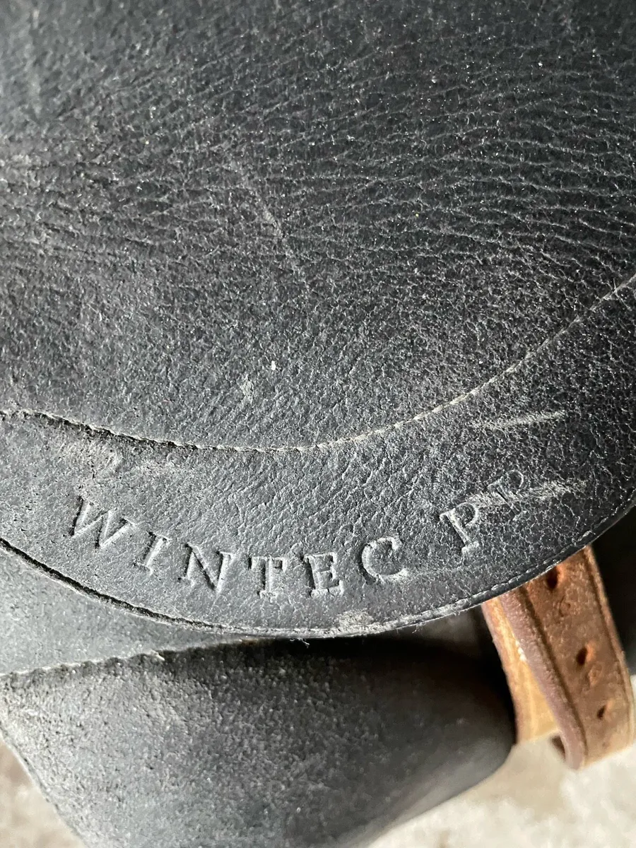 Dressage Saddle - Image 4