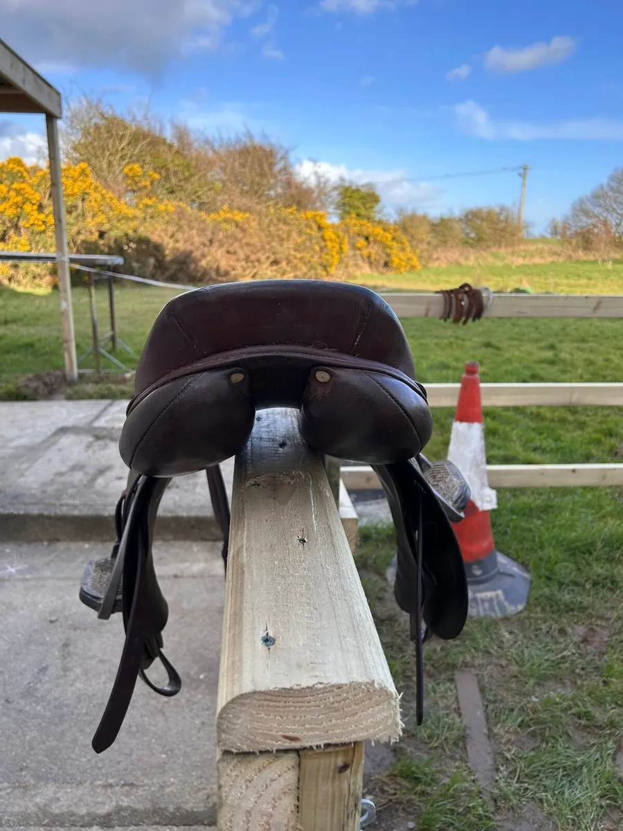 Saddle - Image 2