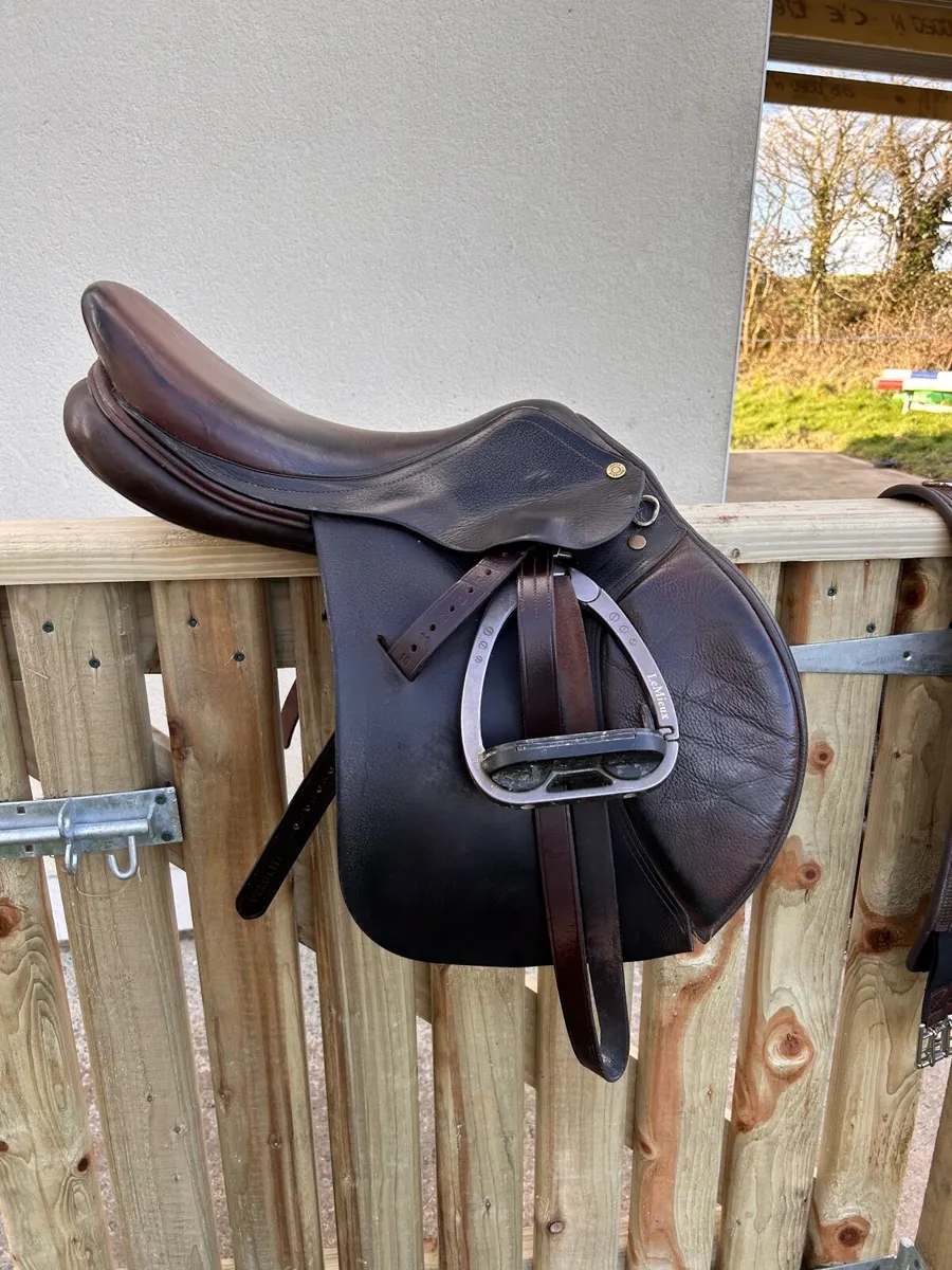 Saddle - Image 1