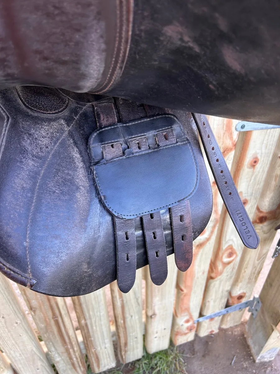 Saddle - Image 4