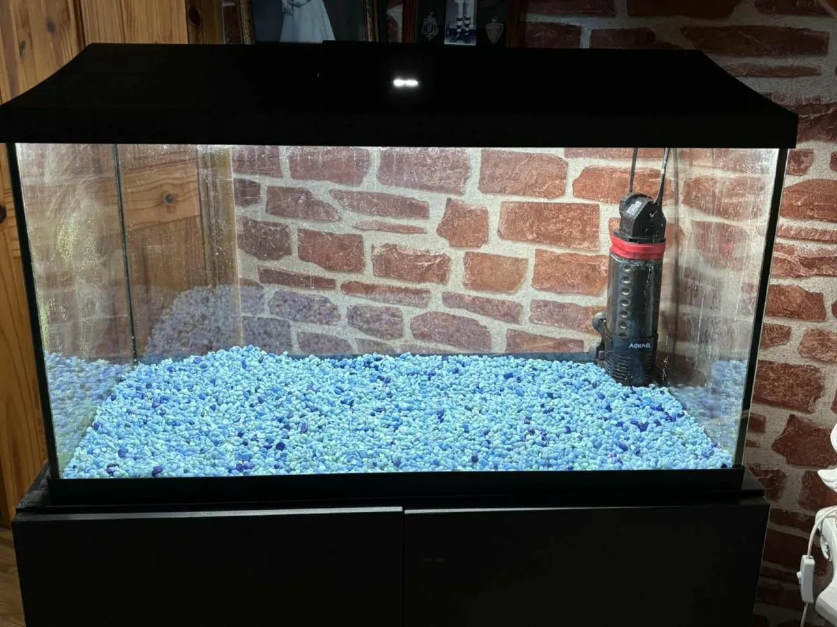 Fish Tank - Image 1