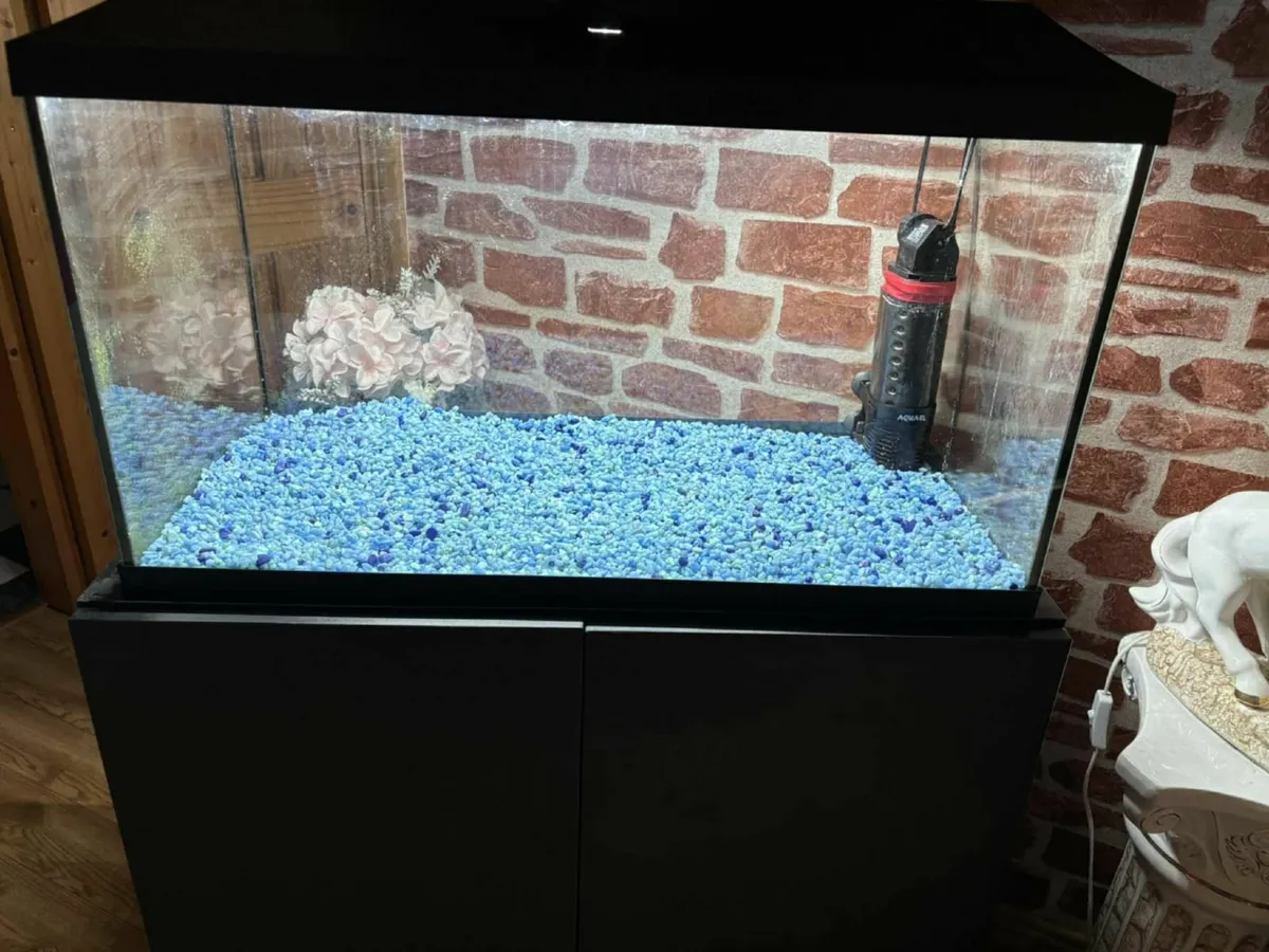 Fish Tank - Image 2