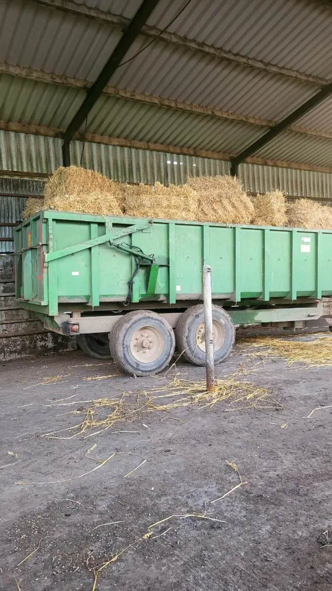 Straw