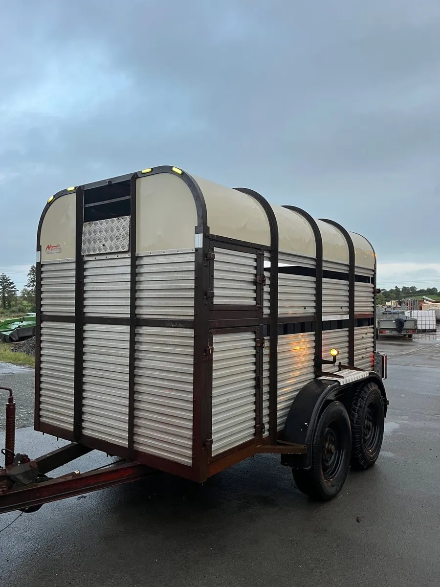 Hamilton 10x6 cattle trailer - Image 1