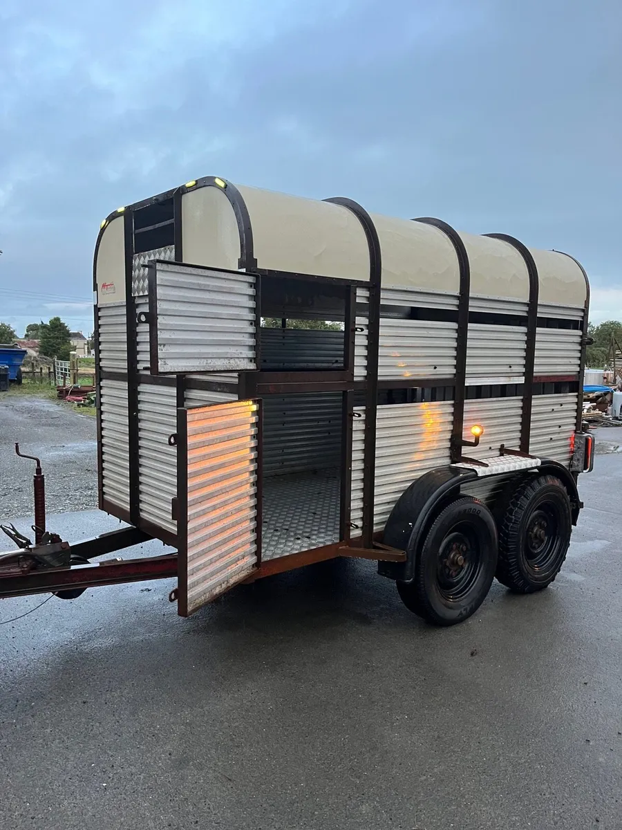 Hamilton 10x6 cattle trailer - Image 2