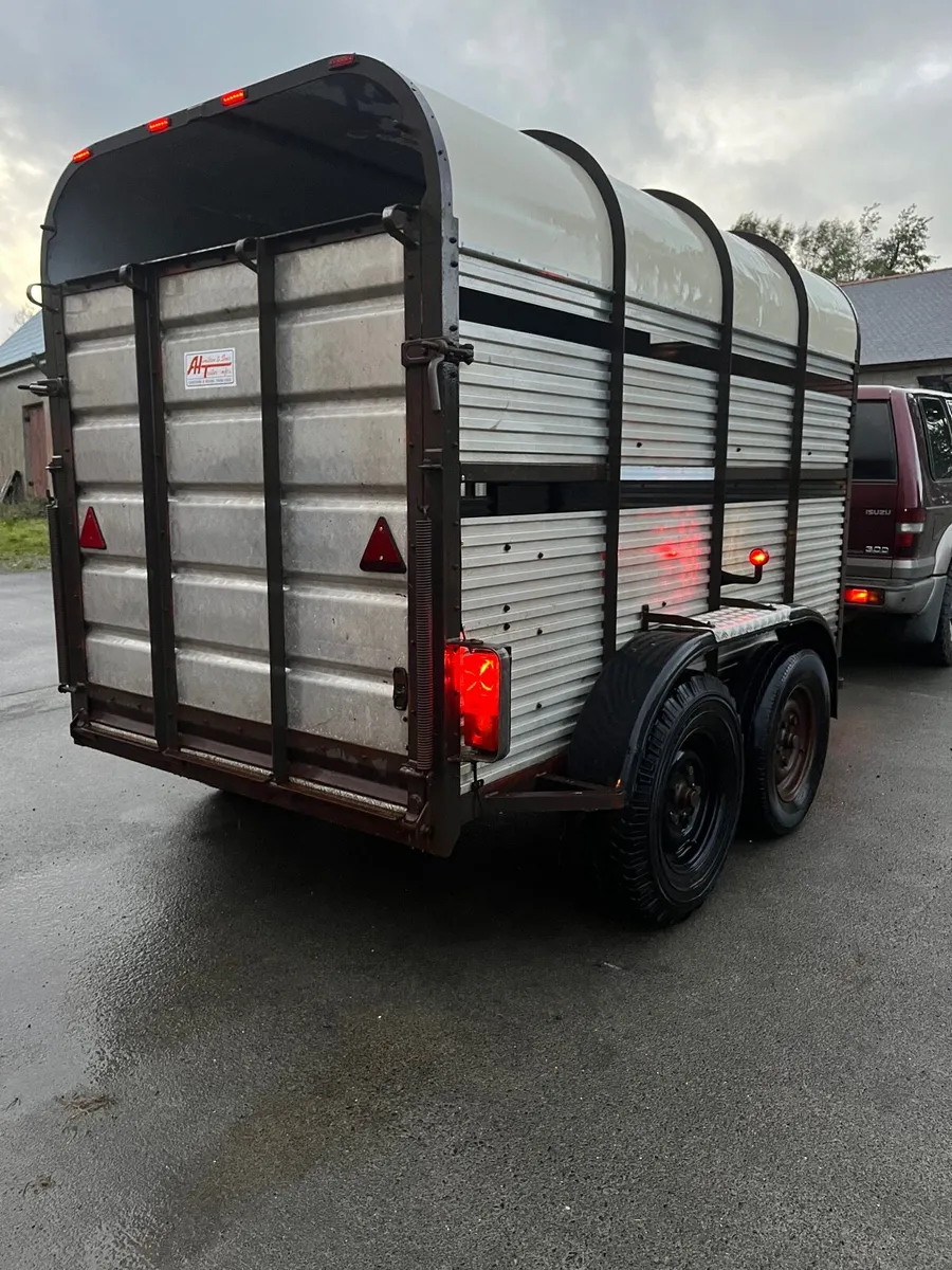 Hamilton 10x6 cattle trailer - Image 4