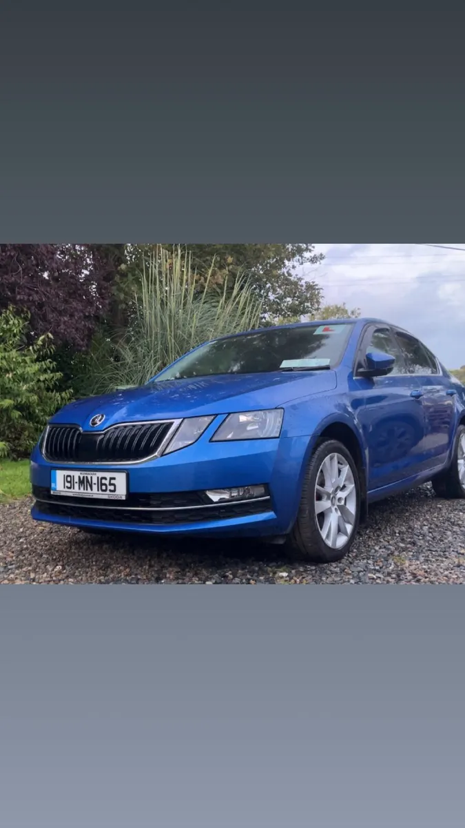 Skoda Octavia 1.6 tdi - Image 3